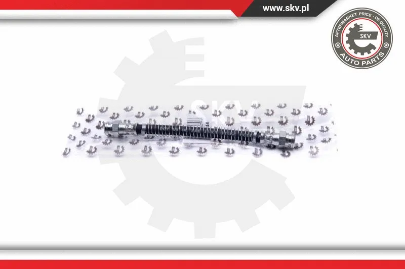 Brake Hose (35SKV244)