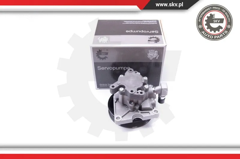 Hydraulic Pump, steering (10SKV270)