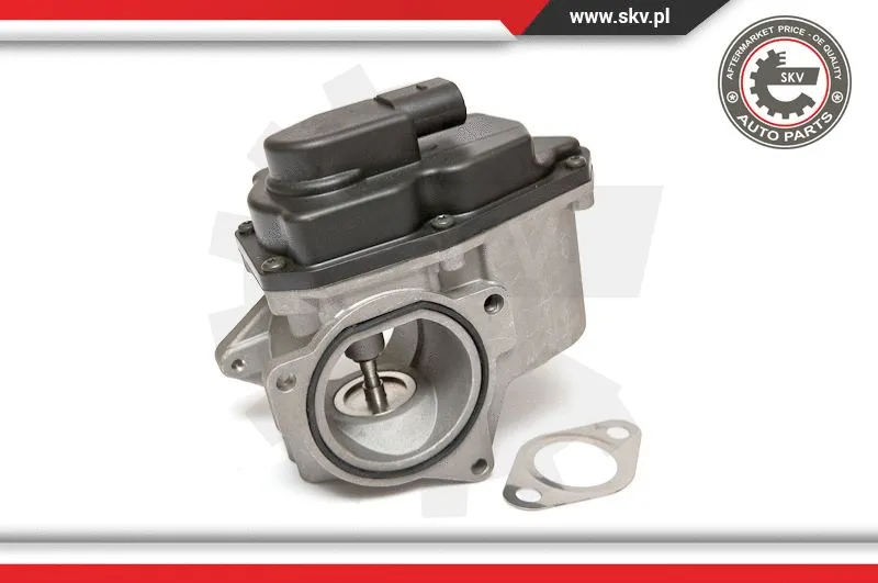 EGR Valve