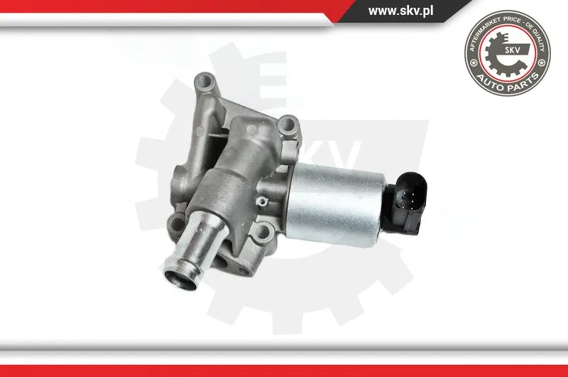 EGR Valve