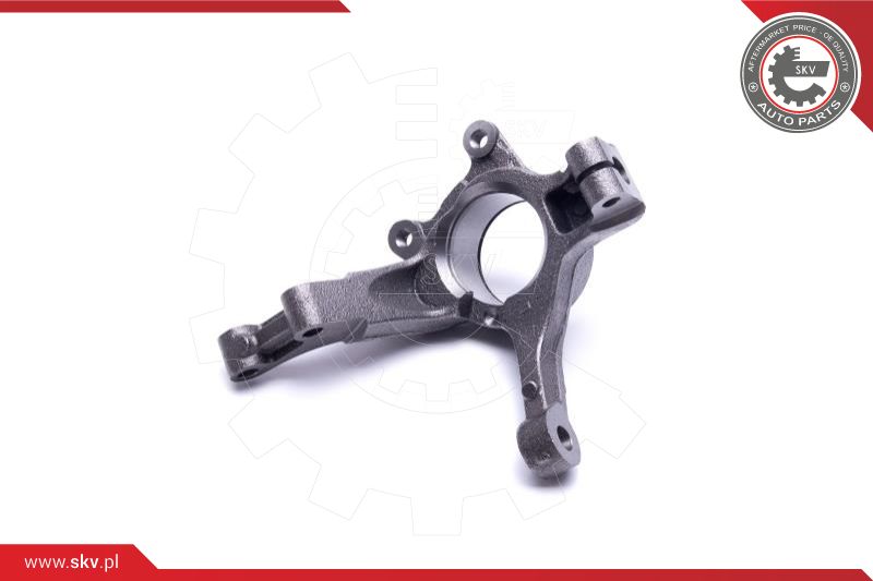 Steering Knuckle, wheel suspension