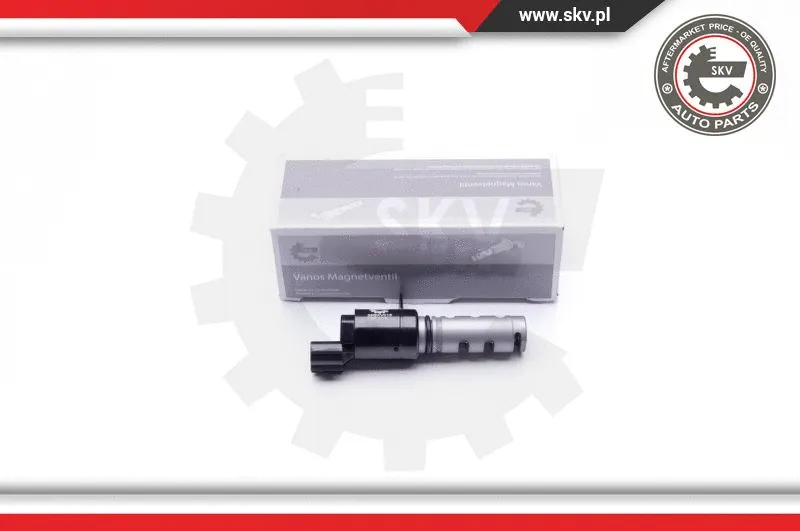 Control Valve, camshaft adjustment (39SKV018)