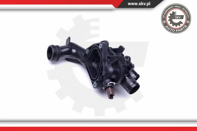 Thermostat, coolant
