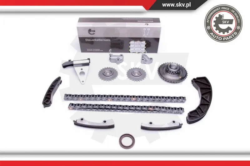 Timing Chain Kit (21SKV225)