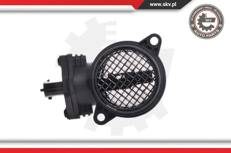 Mass Air Flow Sensor