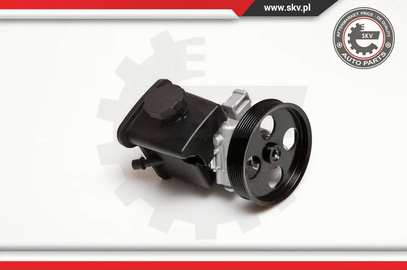 Hydraulic Pump, steering (10SKV029)