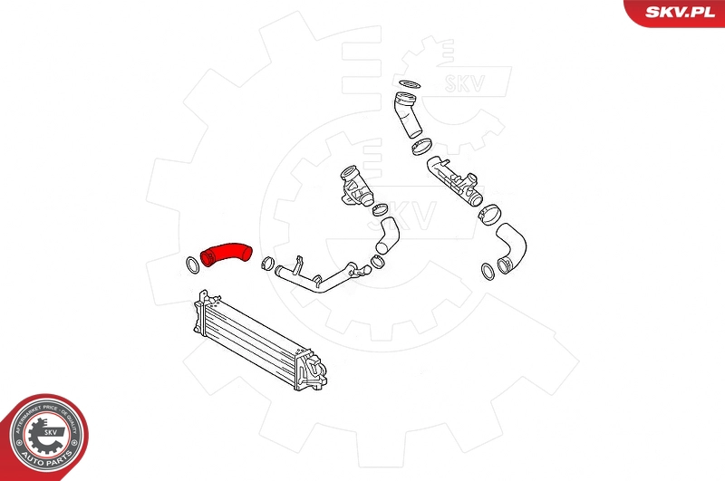 Charge Air Hose