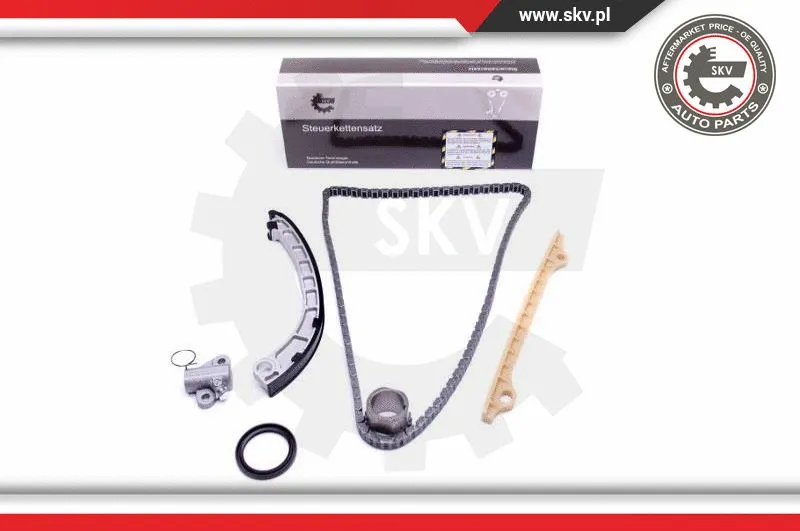 Timing Chain Kit (21SKV217)