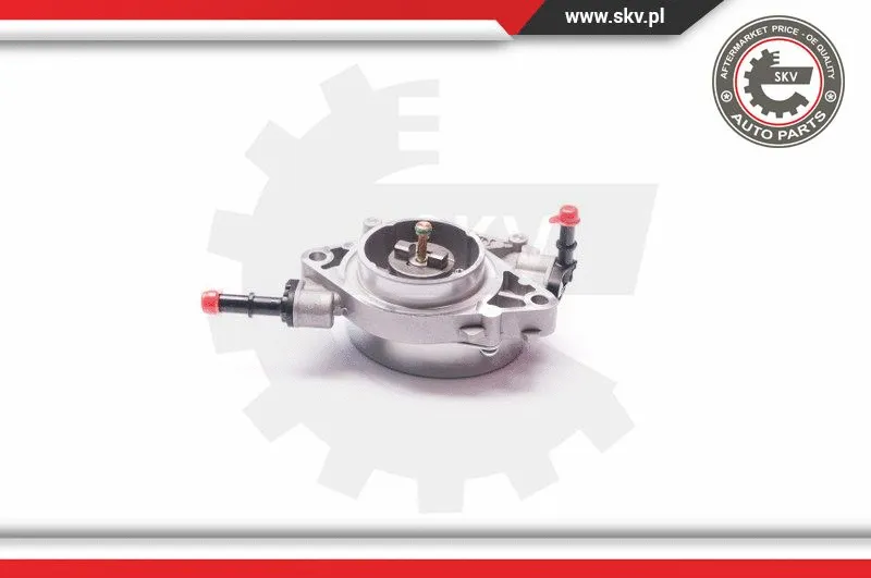 Vacuum Pump, braking system (18SKV021)