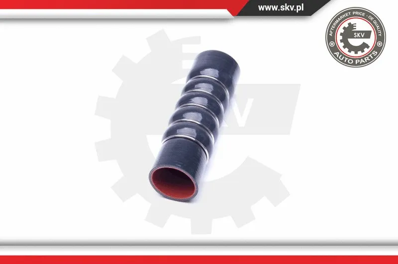 Charge Air Hose (24SKV978)