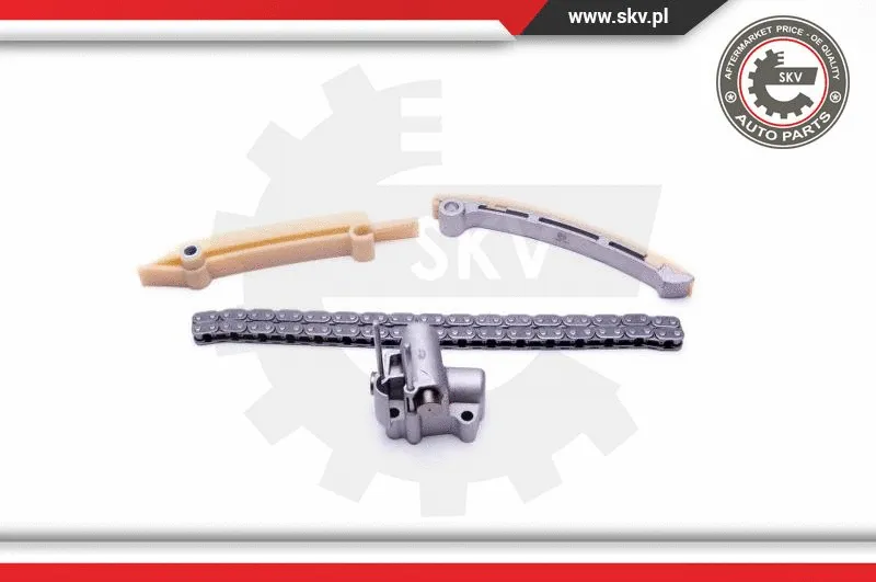Timing Chain Kit