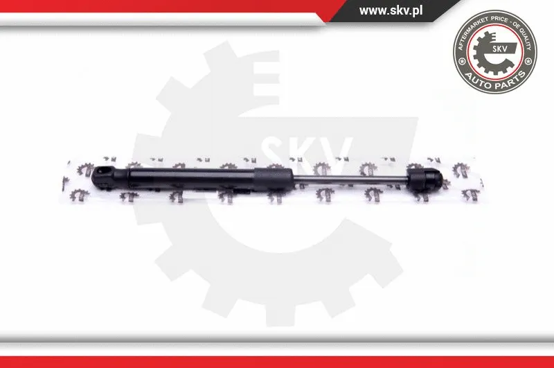 Gas Spring, boot/cargo area