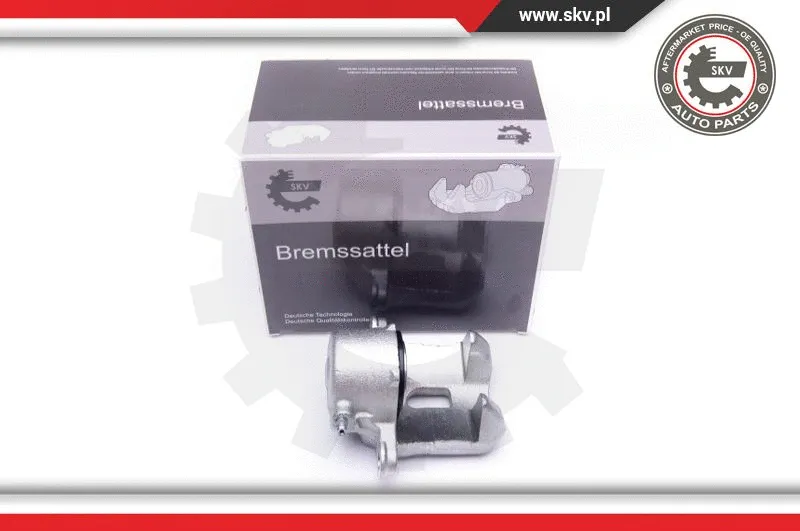 Brake Caliper (42SKV142)