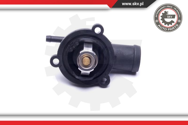Thermostat, coolant