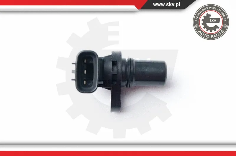 Sensor, camshaft position (17SKV244)