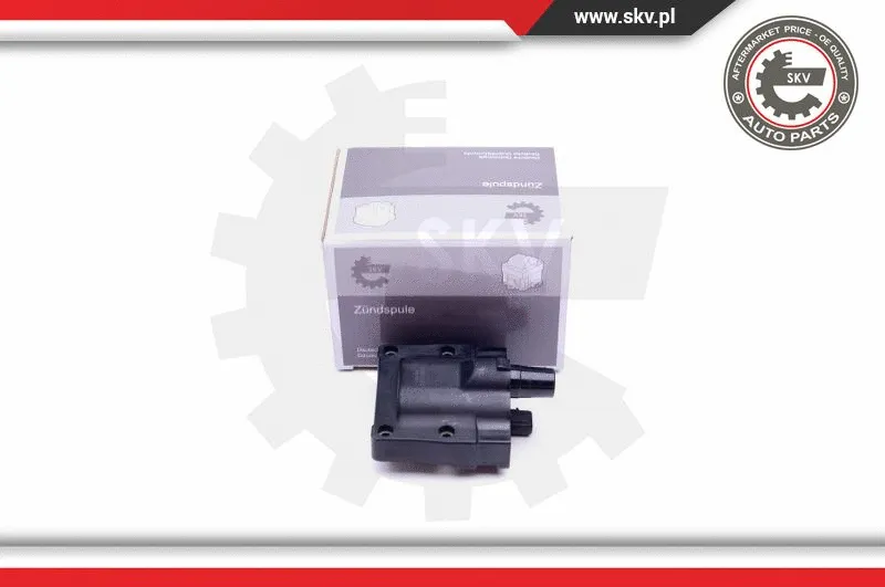 Ignition Coil (03SKV343)