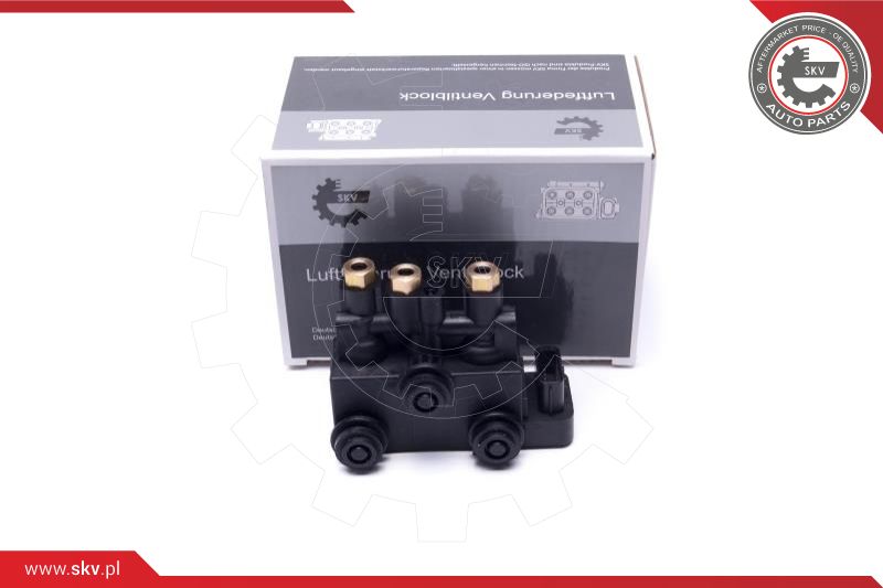 Valve, compressed-air system (93SKV816)