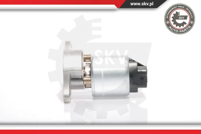 EGR Valve