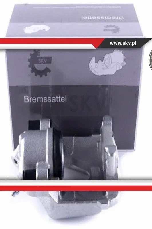 Brake Caliper (55SKV252)