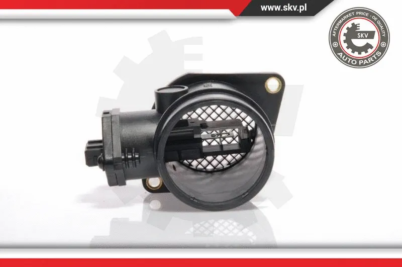 Mass Air Flow Sensor (07SKV003)