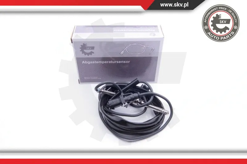 Sensor, exhaust gas temperature (30SKV161)
