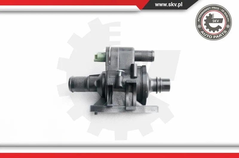 Thermostat, coolant