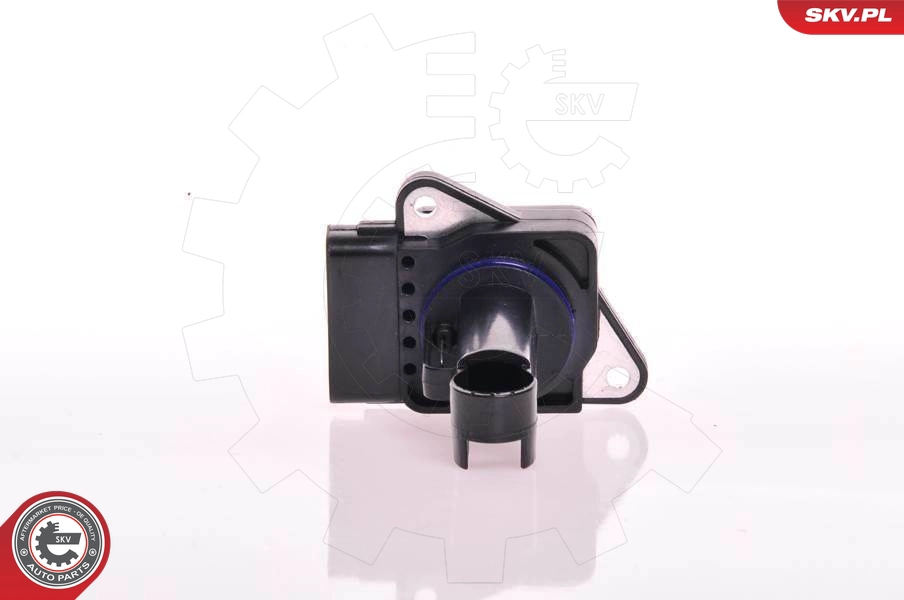Mass Air Flow Sensor