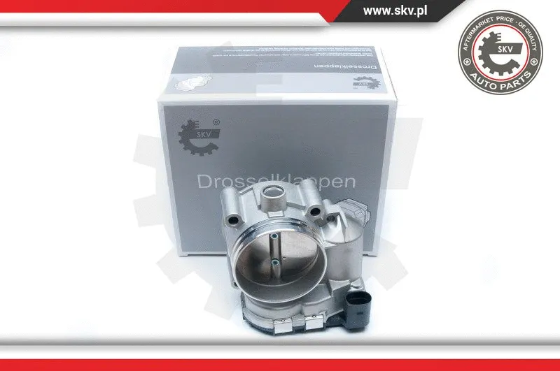 Throttle Body