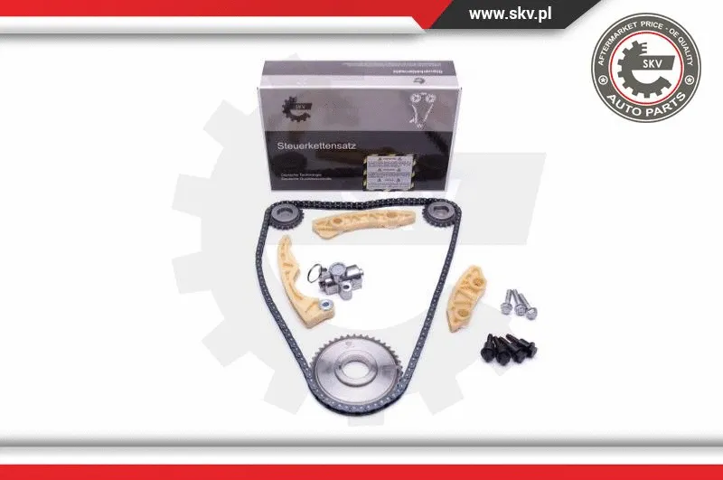 Timing Chain Kit (21SKV186)
