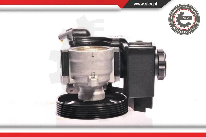 Hydraulic Pump, steering (10SKV153)