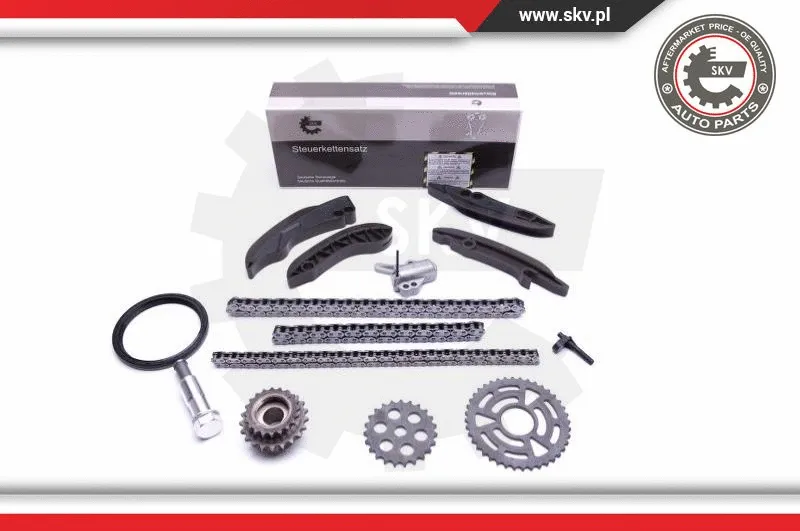 Timing Chain Kit (21SKV199)