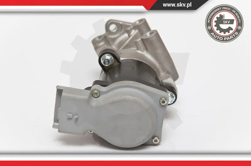 EGR Valve