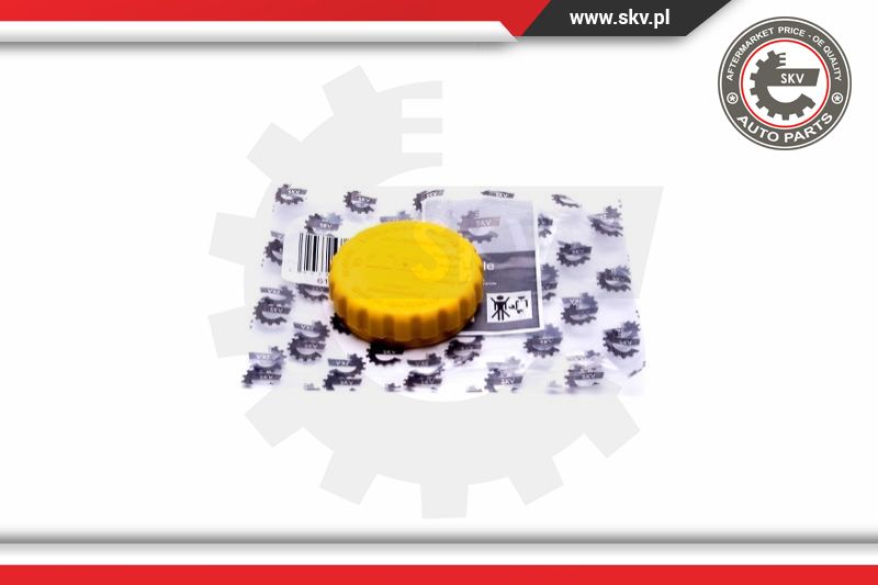 Cap, coolant tank (61SKV020)