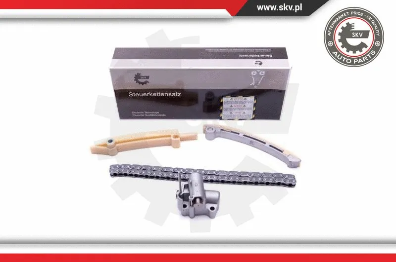 Timing Chain Kit (21SKV165)
