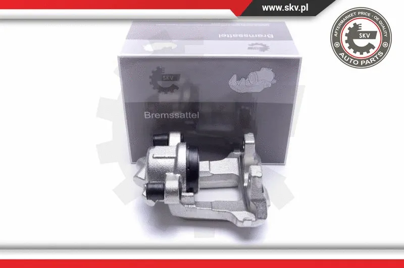 Brake Caliper (55SKV441)