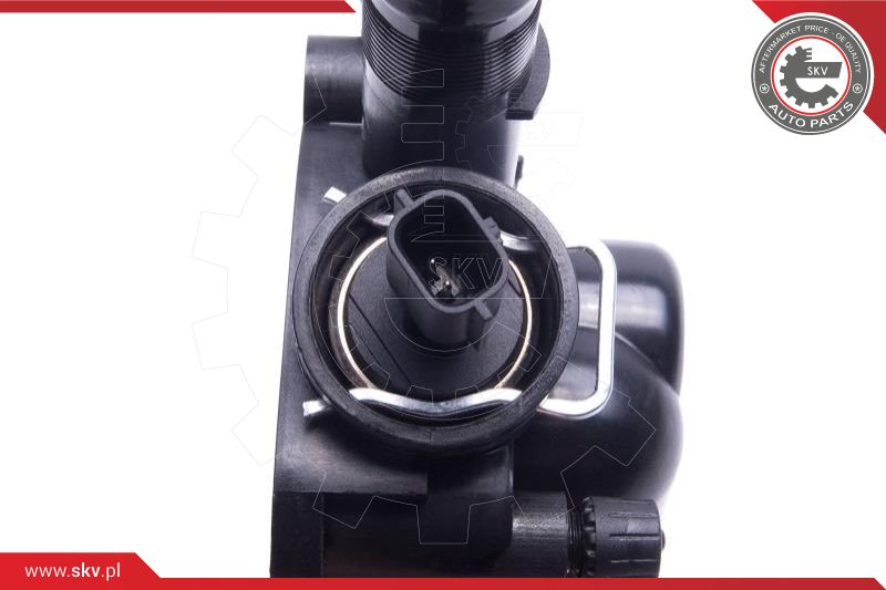 Thermostat, coolant