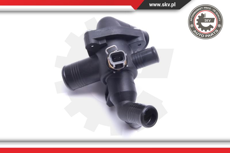 Thermostat, coolant
