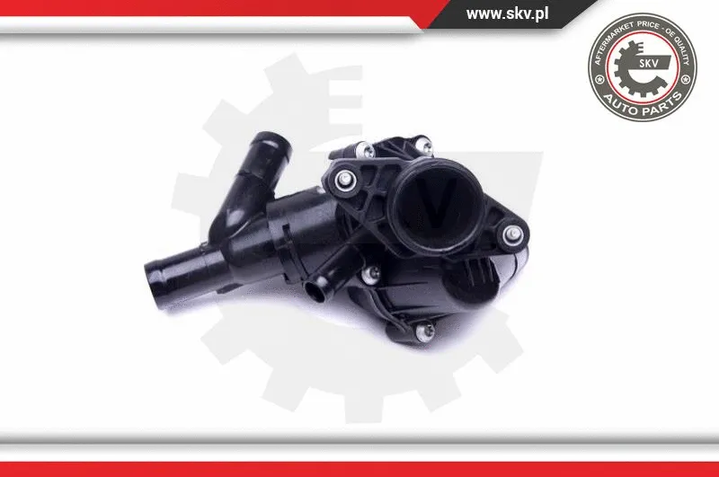 Thermostat, coolant