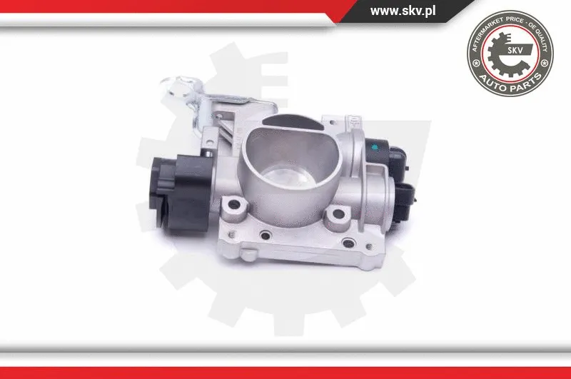 Throttle Body