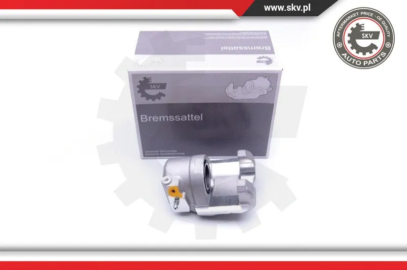 Brake Caliper (42SKV662)