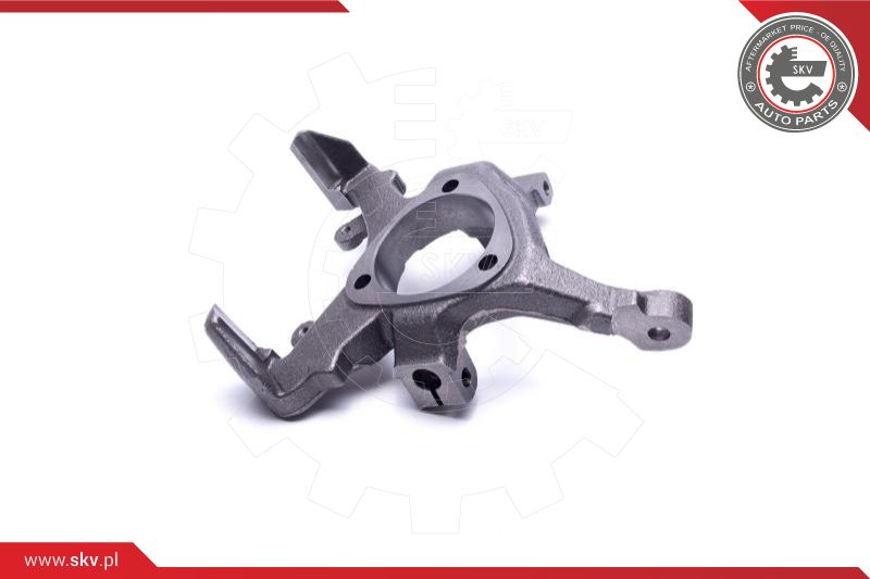 Steering Knuckle, wheel suspension
