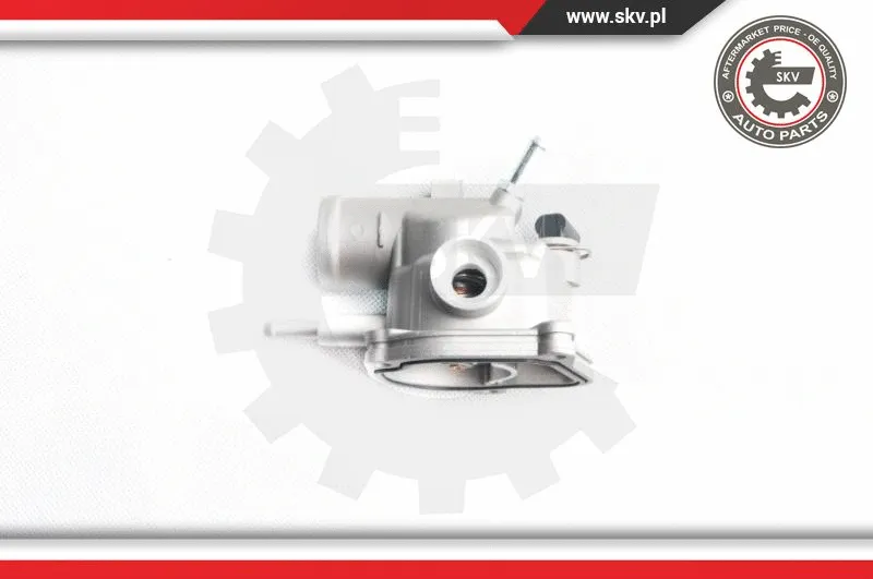 Thermostat, coolant