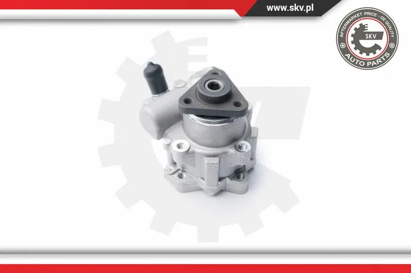 Hydraulic Pump, steering (10SKV122)