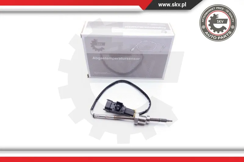 Sensor, exhaust gas temperature (30SKV018)