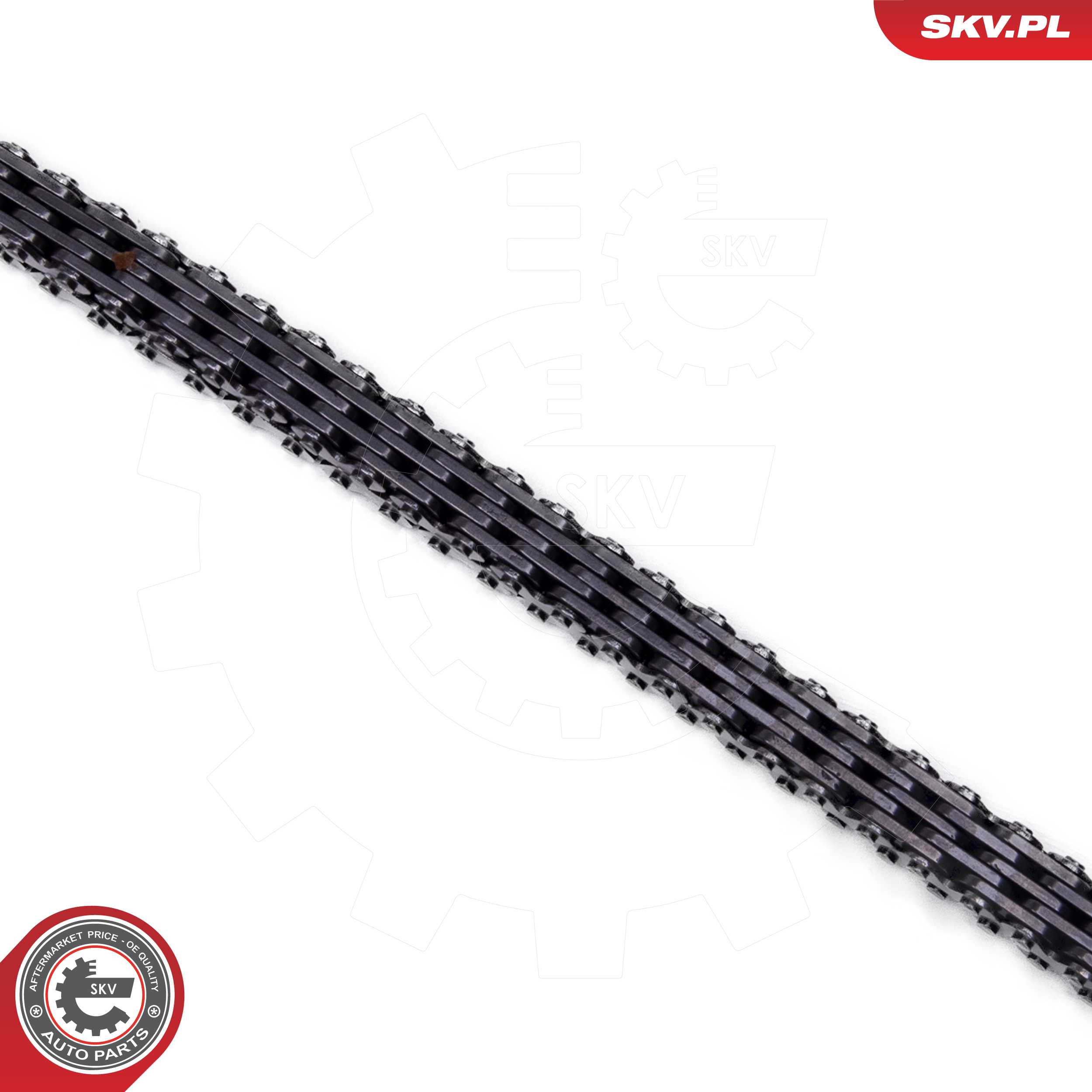 Timing Chain Kit