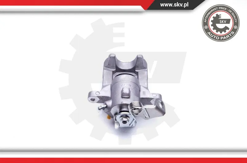 Brake Caliper (34SKV493)