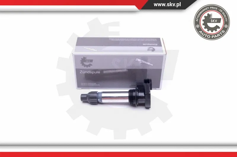 Ignition Coil (03SKV294)