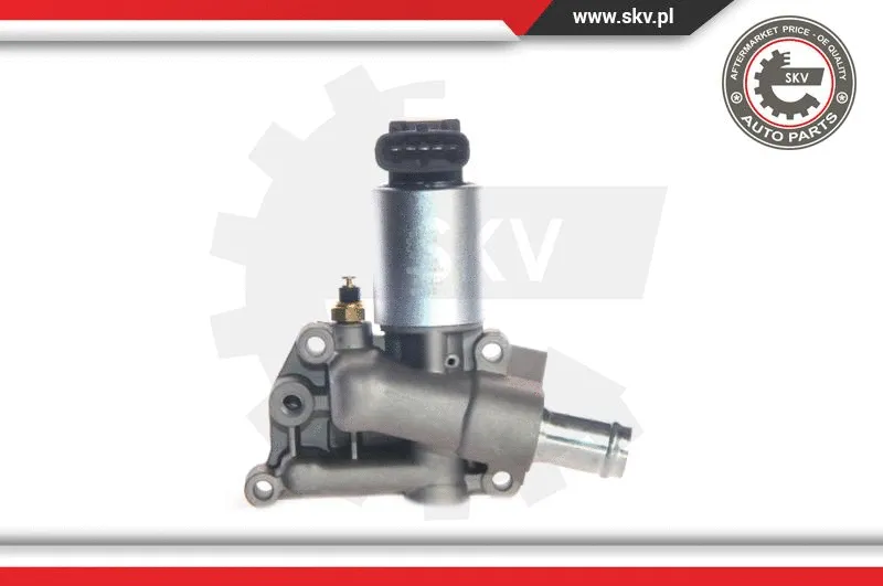 EGR Valve