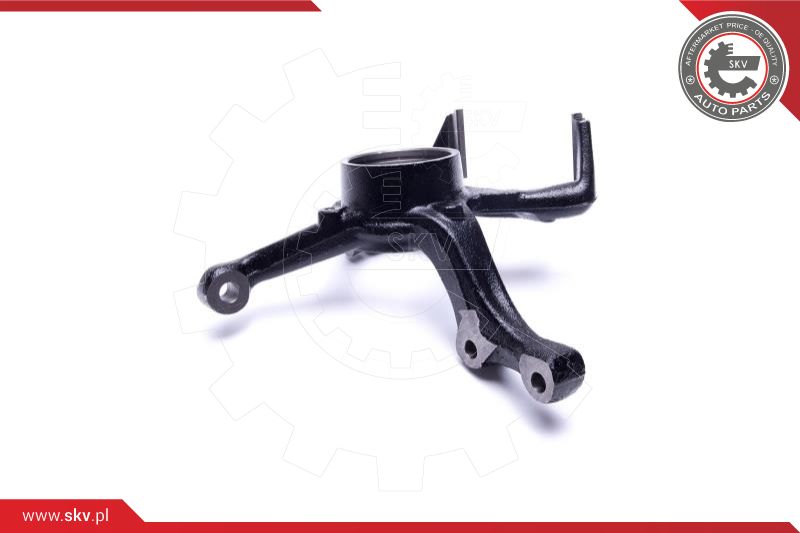Steering Knuckle, wheel suspension