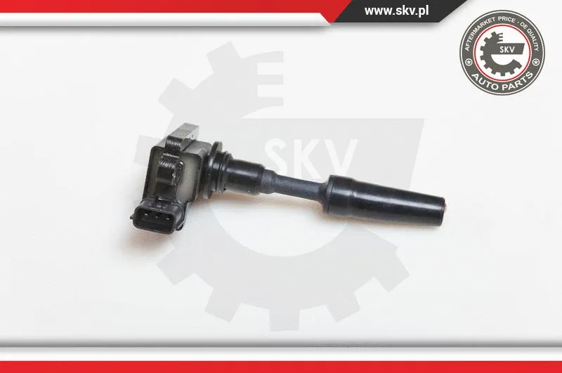 Ignition Coil (03SKV077)